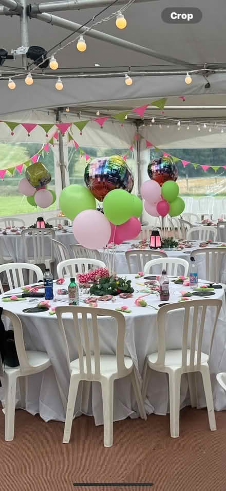 Photo of free 7 x balloon decoration stands (Dawlish Devon) #3