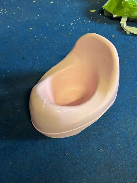 Photo of free Pink potty (Montrose Ave Welling) #1