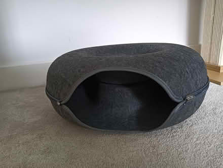 Photo of free Cat "donut" dark grey (W5) #2