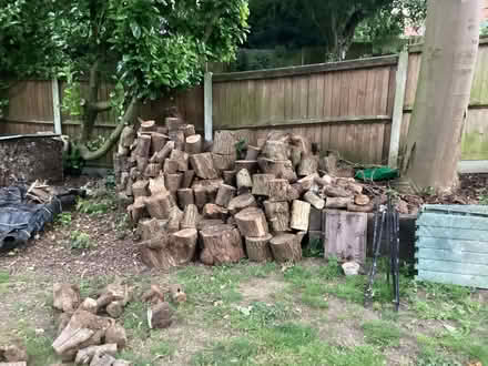 Photo of free Logs for burning or turning (Brooke NR15) #1