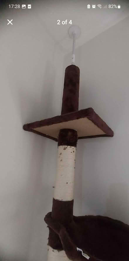 Photo of free Cat tree (M8) #2