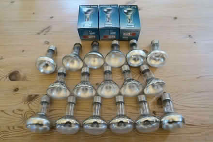 Photo of free R63 incandescent spot lamps (Purley on Thames RG31) #1