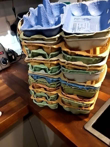 Photo of free Egg boxes (Hollingdean BN1) #1