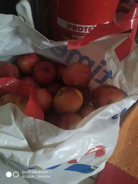 Photo of free Apples (Weston SO19) #1
