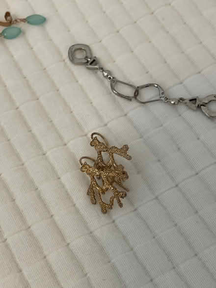 Photo of free Costume jewelry (Dempster east of Ridge) #2