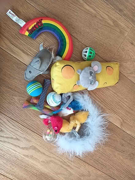 Photo of free Selection of cat toys and brush (W5) #1