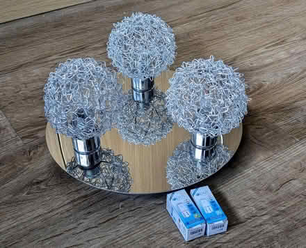 Photo of free Ceiling light fitting (Landport, Lewes) #1