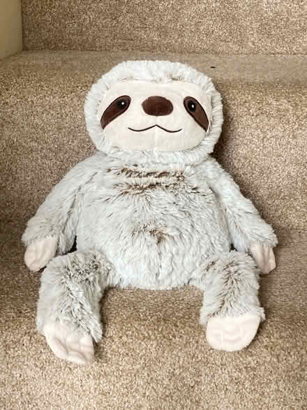 Photo of free Sloth heat up teddy (Near Christchurch BA15) #1