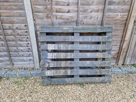 Photo of free Pallet (Rusthall, TN4) #1
