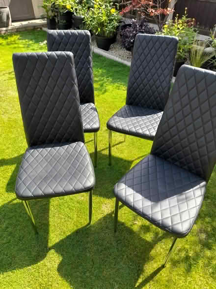 Photo of free Dining chairs (Dagenham RM8) #1