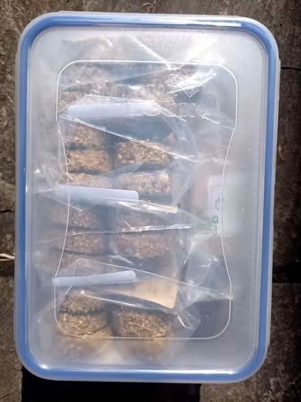 Photo of 2.3l Lock and Lock plastic box (Bessels Green TN13) #1