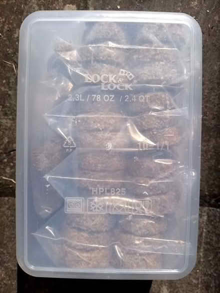 Photo of 2.3l Lock and Lock plastic box (Bessels Green TN13) #2