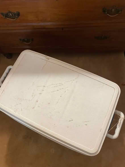 Photo of free Rubbermaid Cooler (Danbury Forest) #3