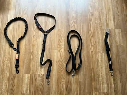 Photo of free Dog leads (various) (Gunthorpe) #1