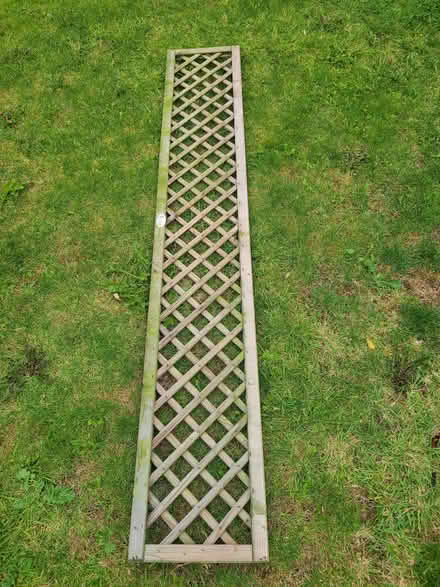 Photo of free Wooden trellis for climbing plants (Seaton Delaval NE25) #1