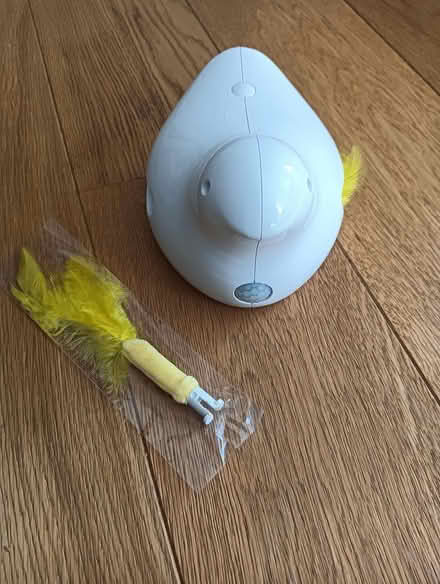 Photo of free Interactive cat toy (W5) #2