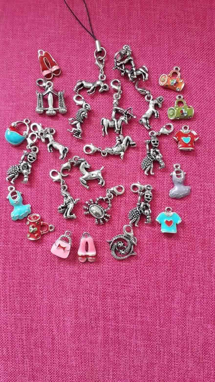 Photo of free Keyring/ mobile dangles (Newbury RG14) #2