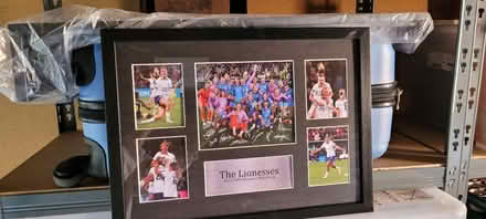 Photo of free Lionesses framed pictures (Wokingham, RG41) #1