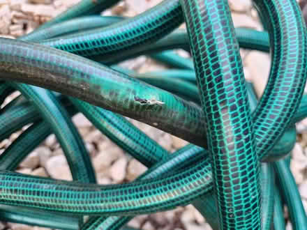 Photo of free Garden Hose for Crafting (20722 - near Peace Cross) #2