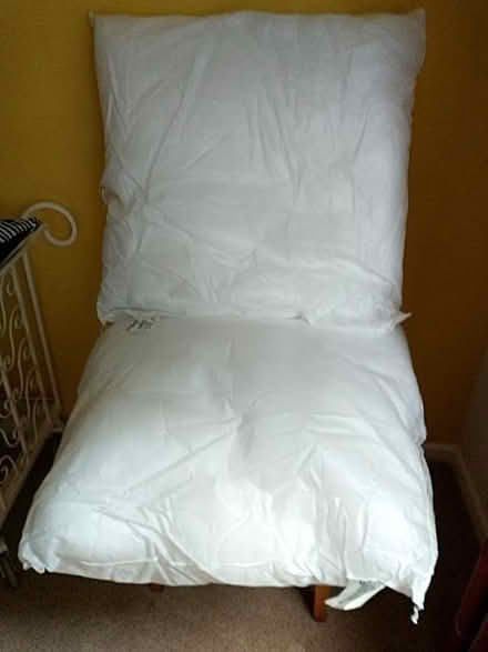 Photo of free Cushions (Arnside LA5) #1
