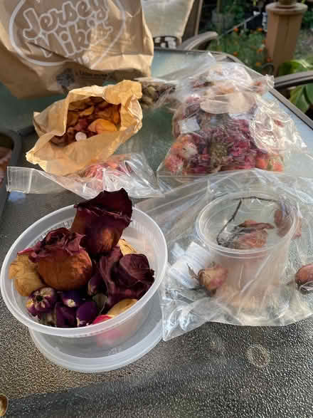 Photo of free Dried flowers (Severna Park/Manhattan Beach) #1