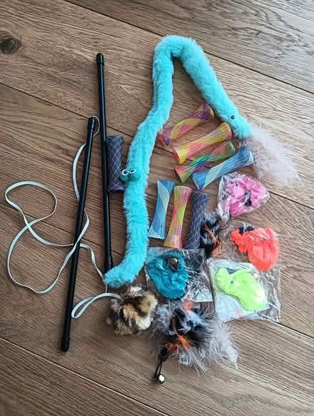 Photo of free Selection of cat toys and brush (W5) #3
