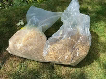 Photo of free Sawdust and straw (Welling DA16) #1