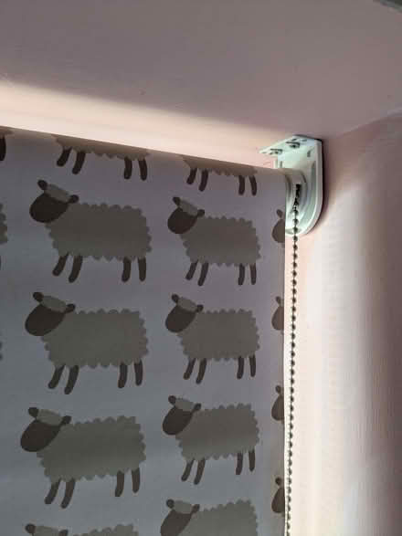 Photo of free Roller blind (Grimsbury OX16) #1