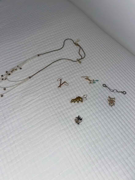 Photo of free Costume jewelry (Dempster east of Ridge) #1