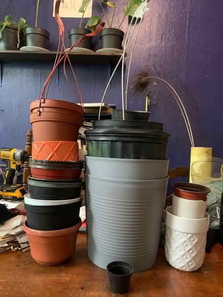 Photo of free Pots galore (Ridgewood, Queens) #1