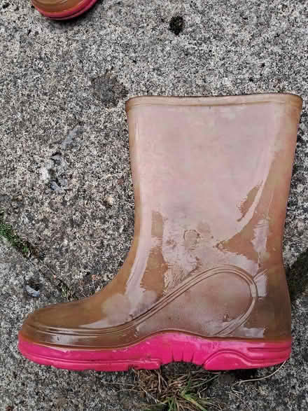 Photo of free Pink wellies, size 10 (OX25, Weston on the green) #1