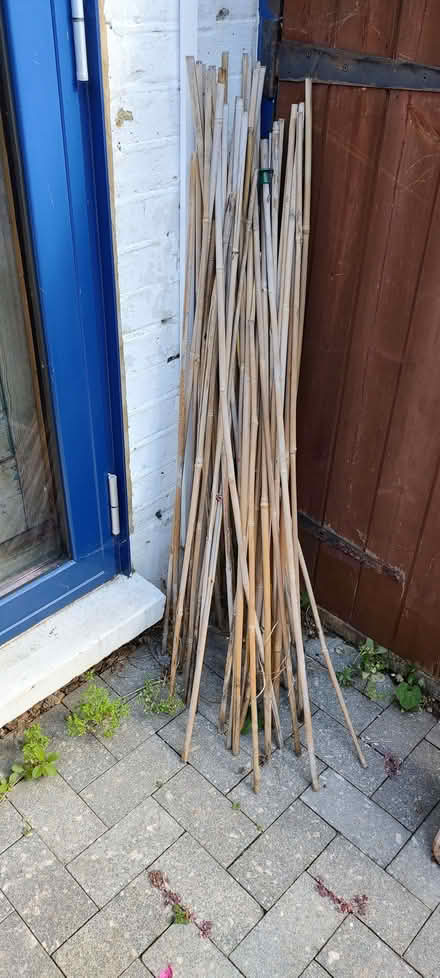 Photo of free Garden canes (East Ham E6) #1