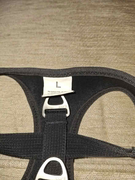 Photo of free Small Dog Harness (Near Bolingbrook High School) #2