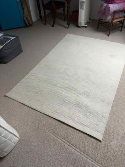 Photo of free Cream/oatmeal woollen rug (Broomhall S11) #1