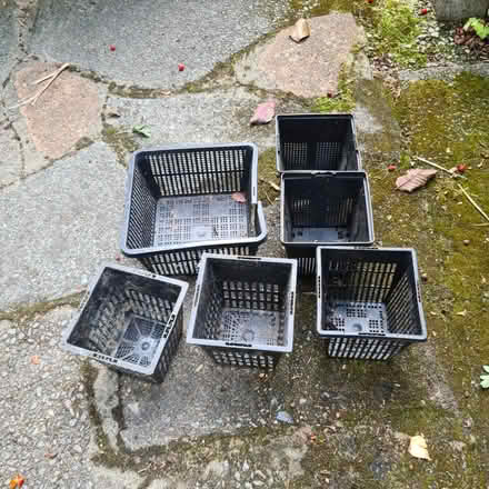 Photo of free Pots for pond (Raynes Park SW20) #1