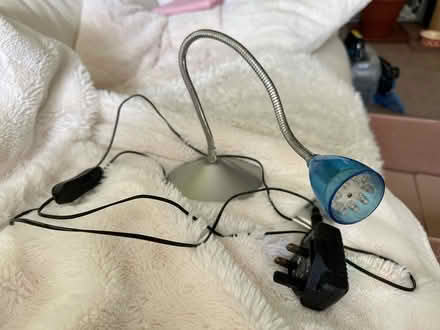 Photo of free Small LED positionable lamp (BH8 Bournemouth) #1