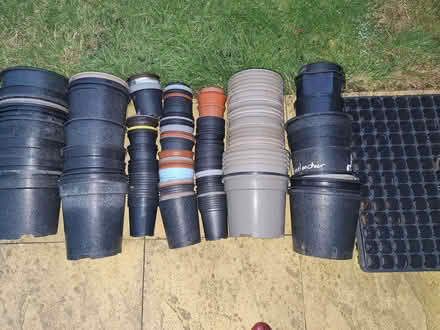 Photo of free Plastic pots (Worcester, WR5) #1