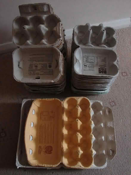 Photo of free Egg Boxes (Nr Upper Stratton, SN6) #1