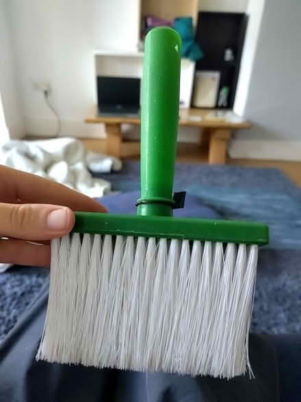 Photo of free Brush (Dyke Road area BN1) #1