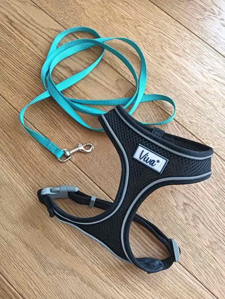 Photo of free Harness & short leash for cats (W5) #1