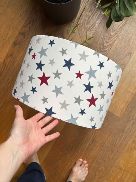 Photo of free Ceiling light shade (SE24 Herne Hill) #1