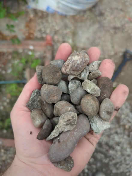 Photo of free Gravel - take as much as you like (Rawmarsh, S62) #3