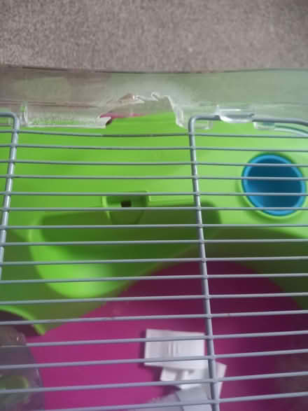 Photo of free Hamster cage plus food (Penrith CA11) #1