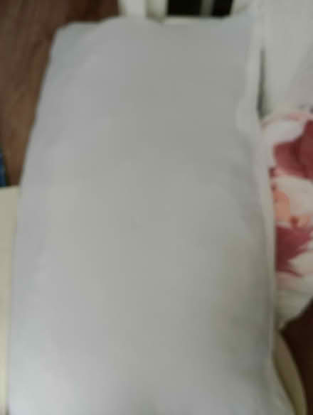 Photo of free Washable dog bed large (coventry CV6) #1