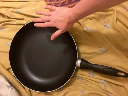Photo of free Frying pan (West Green N15) #1