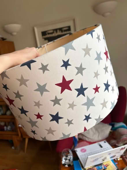 Photo of free Ceiling light shade (SE24 Herne Hill) #3