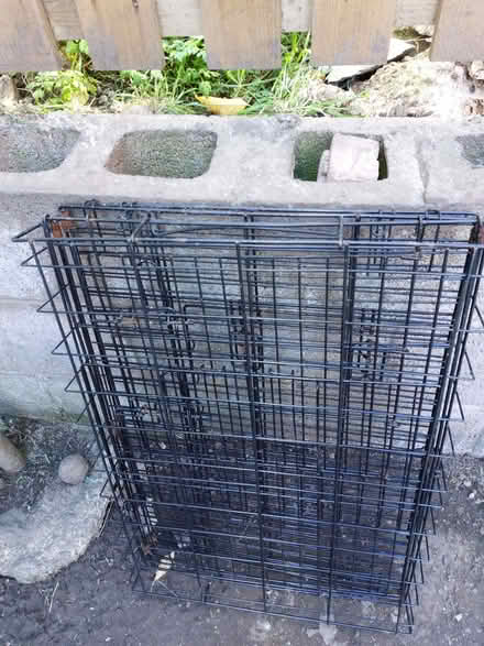 Photo of free Dog cage (Penrith CA10) #1