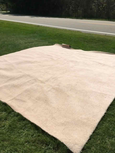 Photo of free Never used carpet (Hamburg/Brighton) #1