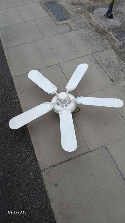Photo of free Ceiling fan fully working (Bounds Green) #1
