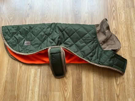 Photo of free Dog coats (for roughly 20kg dog) (Gunthorpe) #1